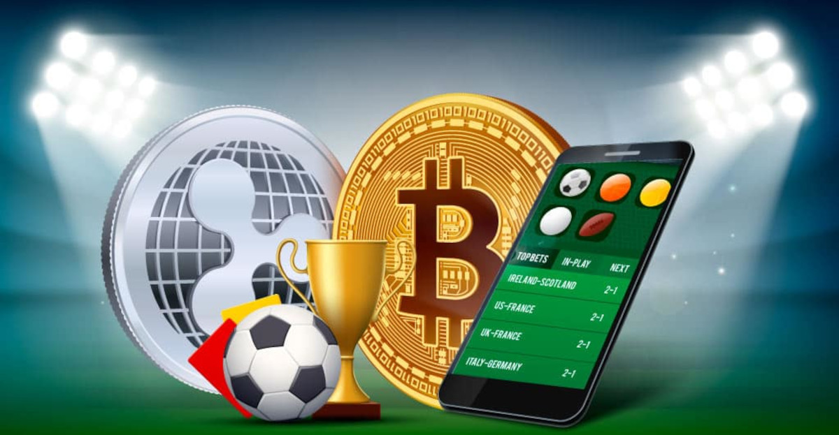 Discover the Excitement of Betting with Betbonanza 14